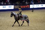 Quadrille - 00739